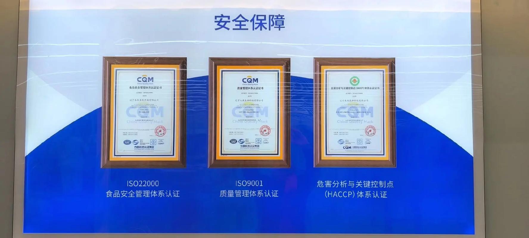 探秘辽宁未来生物科技 一粒玉米胚芽的智能化蜕变之旅